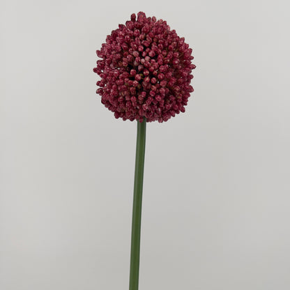 Allium spray Mura in paars of donker roze, 66cm