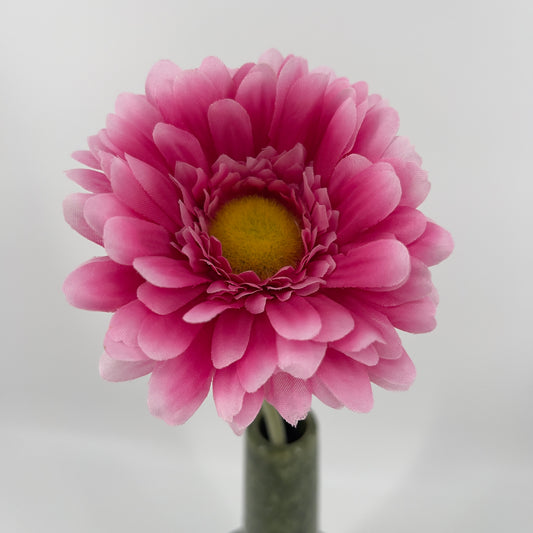 Grote Gerbera's in 5 mooie kleuren, 64cm