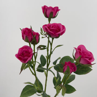 Rose/rozen spray in oranje of fuchsia, 71cm