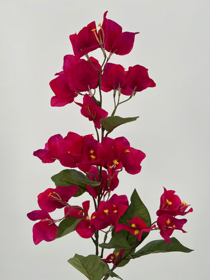 Bougainvillea tak fuchsia, 85cm
