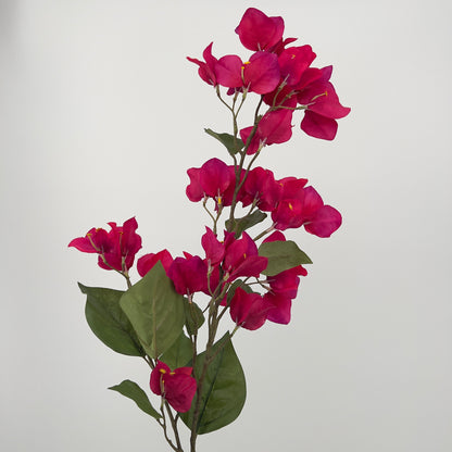 Bougainvillea tak fuchsia, 85cm