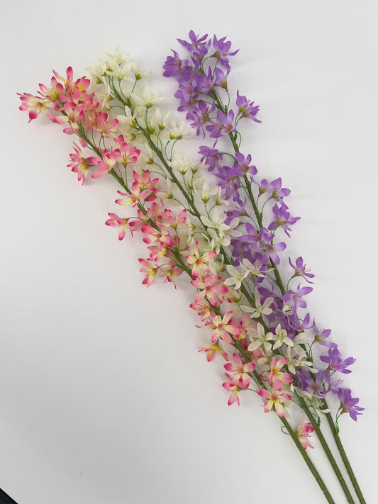 Deutzia spray beauty, crème of lavendel, 100cm