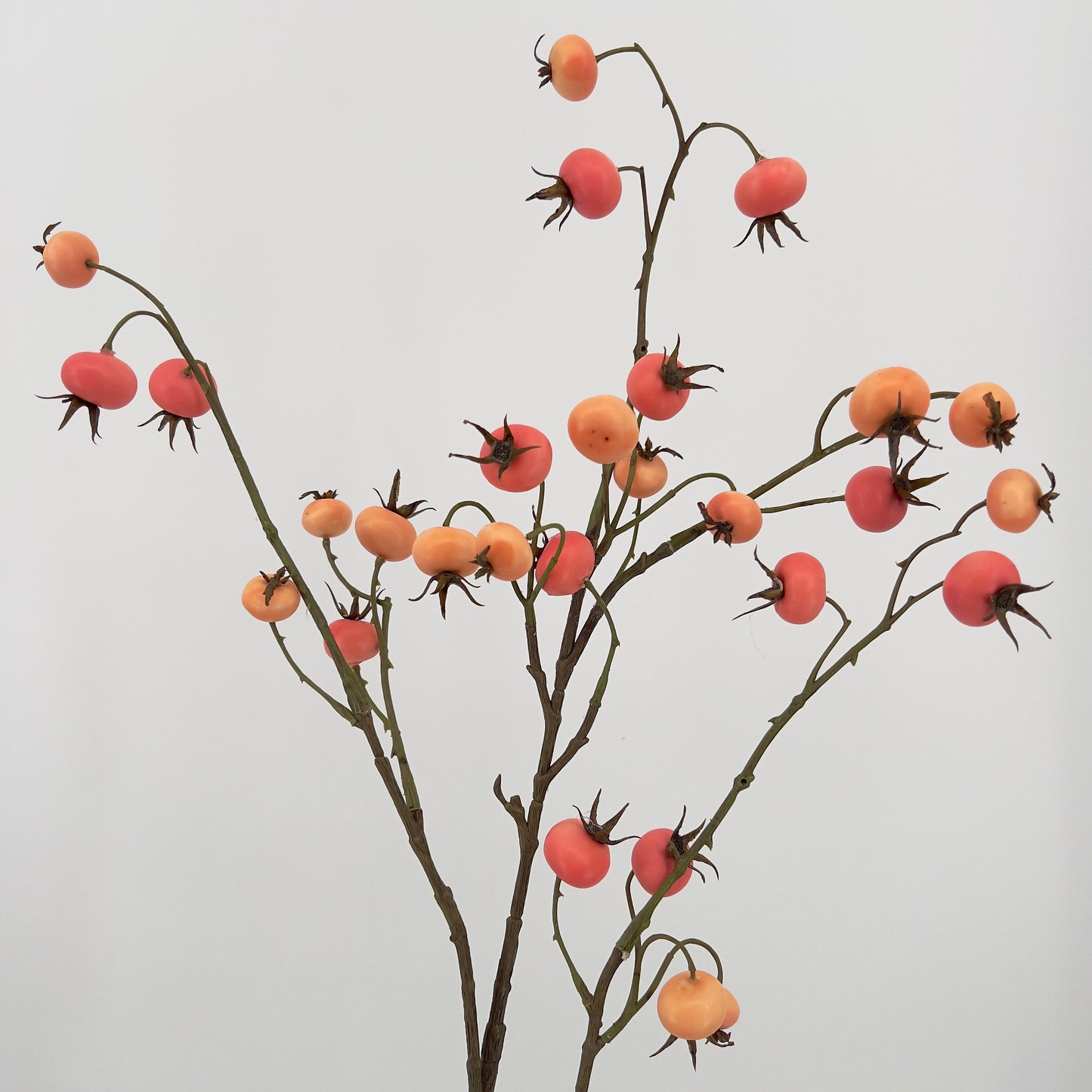 Rozenbottel/Rosehip tak in perzik geel/roze, 102cm