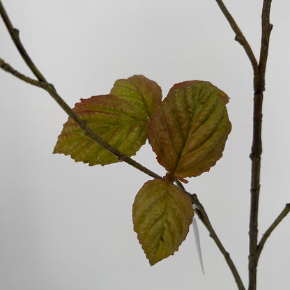 Silk-ka kunsttak beuken in rood/groen of groen, 116cm
