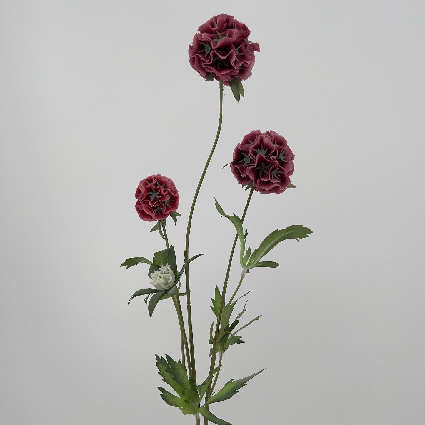 Scabiosa spray x3 paars of oud roze, 72cm