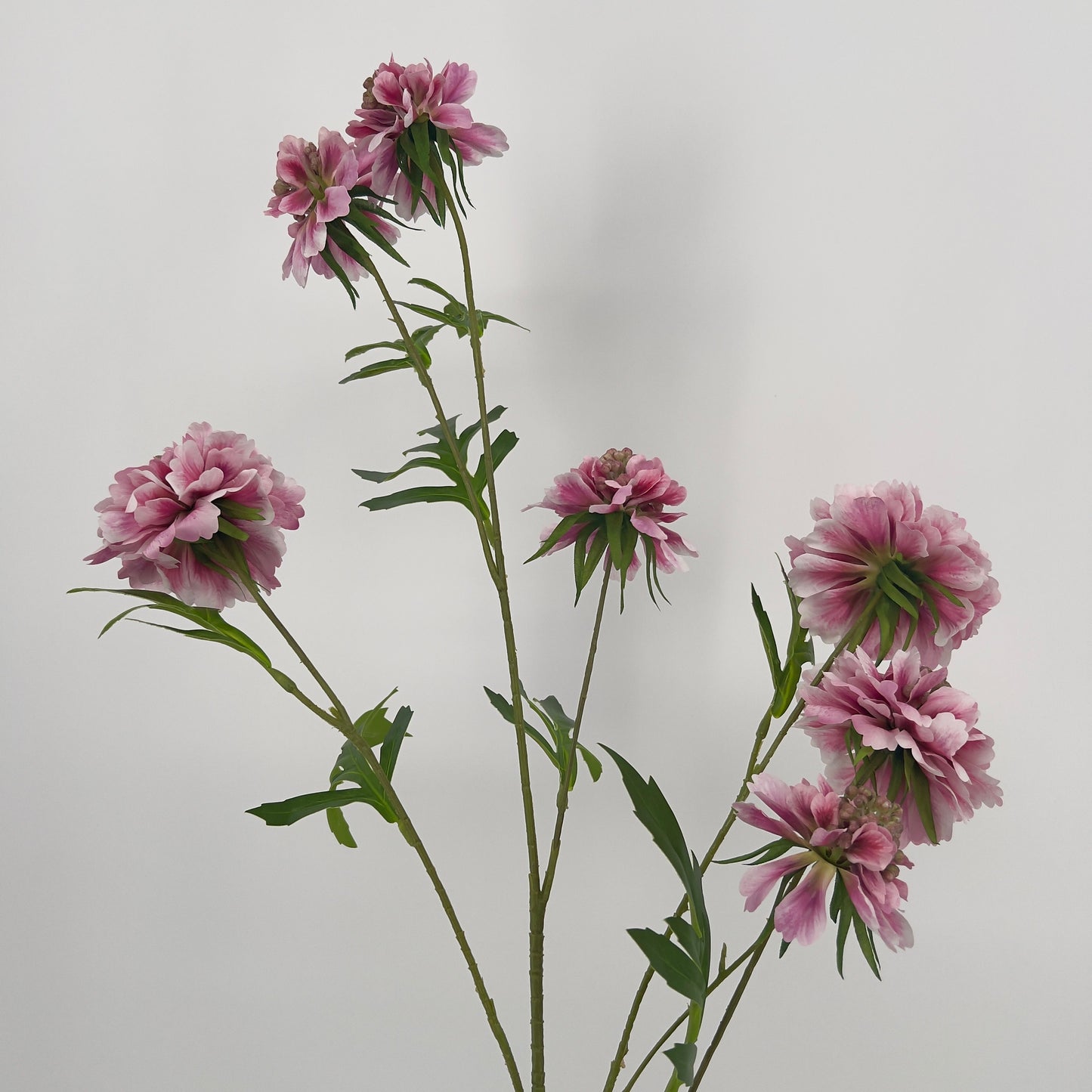 Scabiosa kunsttak in 5 kleuren, 113cm