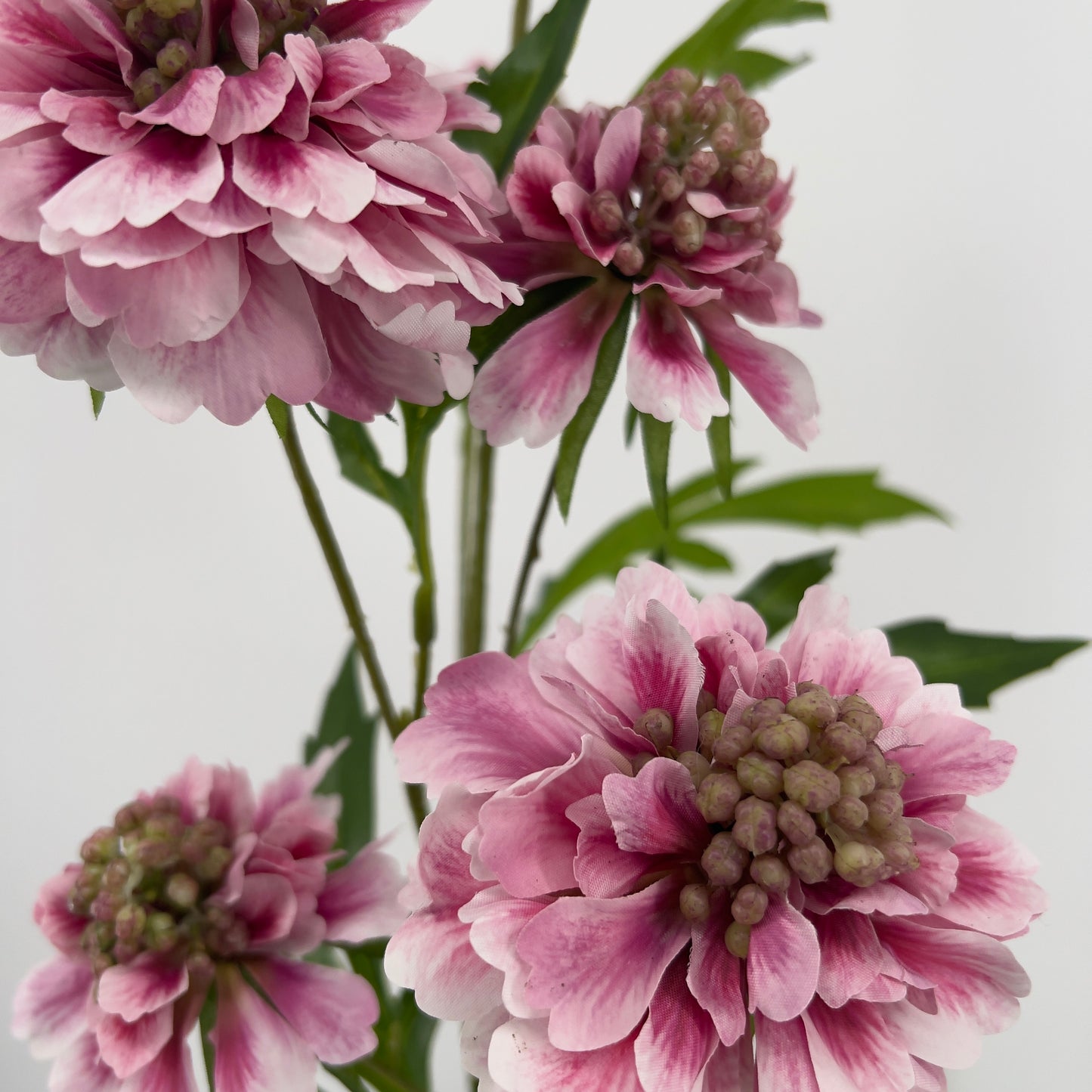 Scabiosa kunsttak in 5 kleuren, 113cm