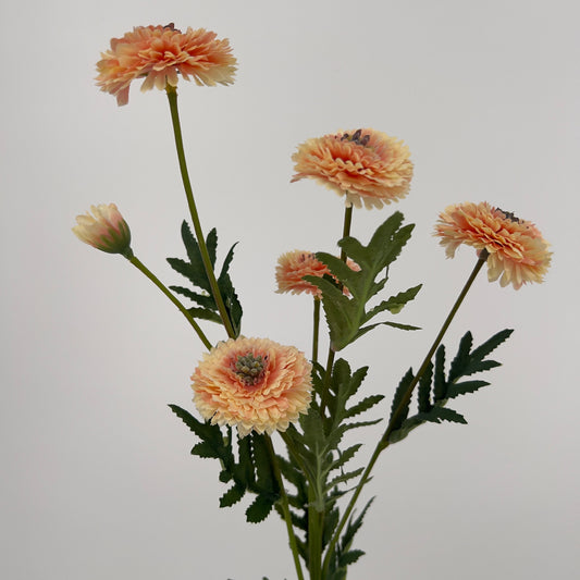 Tagetes tak in 3 kleuren, 70cm