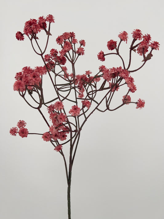 Gypsophila donker roze/oud roze, 61CM