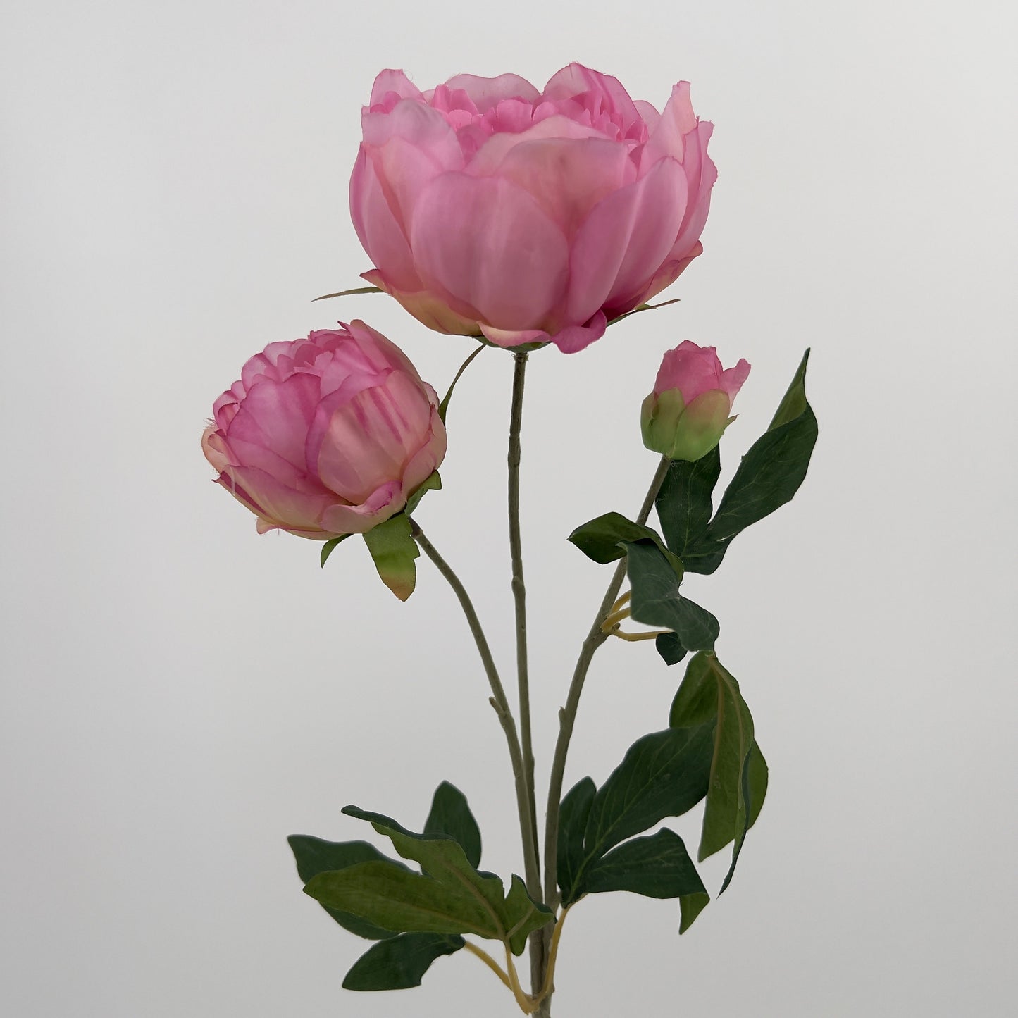 Kunsttak Pioenroos spray in roze, lichtroze of wit, 70cm