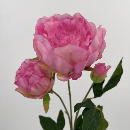 Kunsttak Pioenroos spray in roze, lichtroze of wit, 70cm