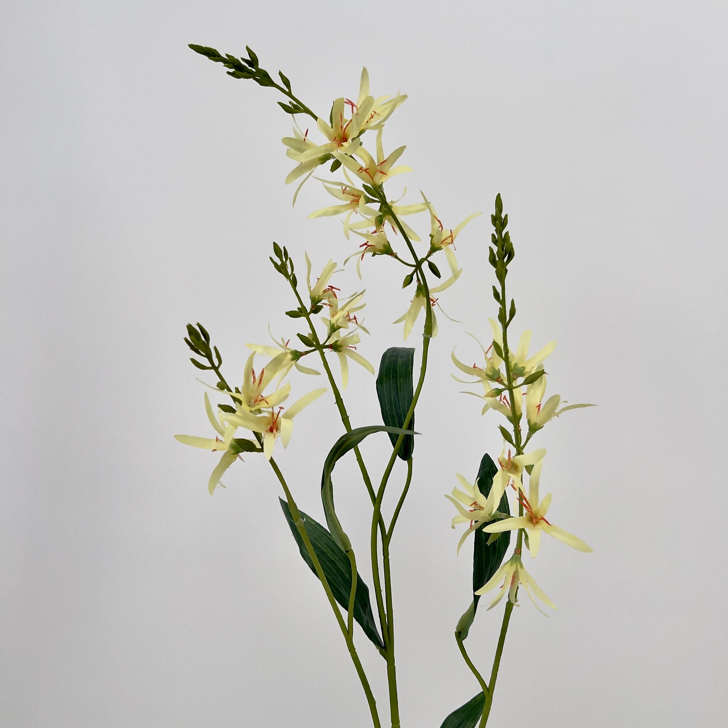 Silk-ka Eremurus spray in beauty, perzik of geel, 101cm