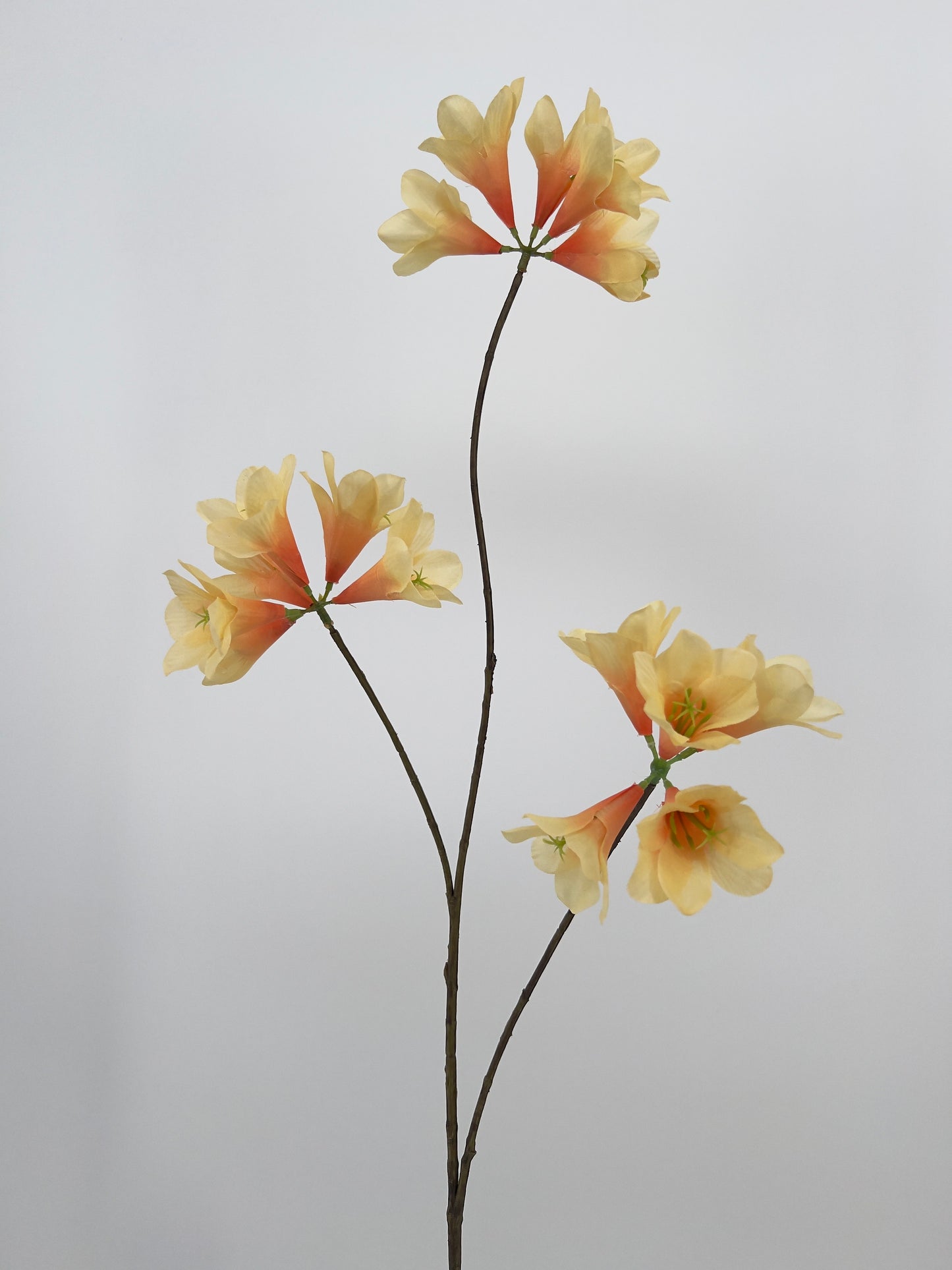 Kruidnagel/Mandevilla spray kunsttak in 7 kleuren, 83cm