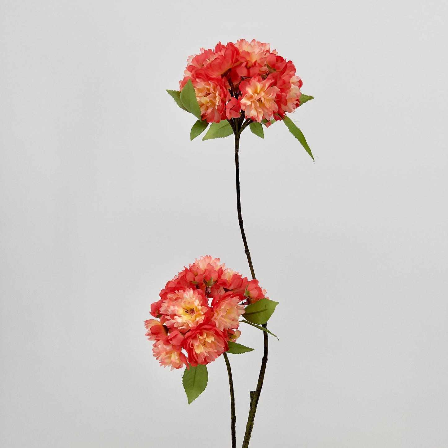 Silk-ka Bloesem kunsttak oranje/zalm, 72cm