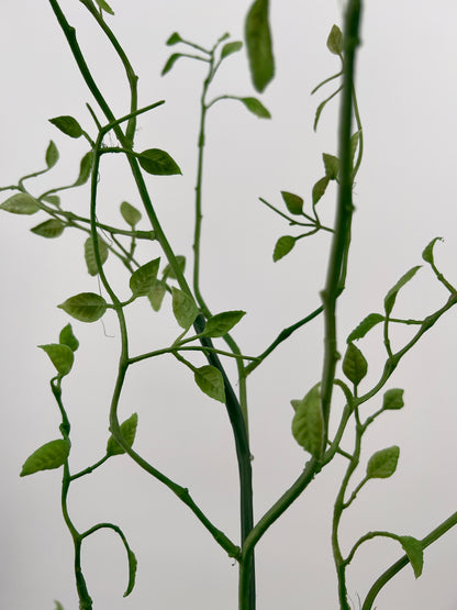 Kamperfoelie blad spray vers groen, 96cm