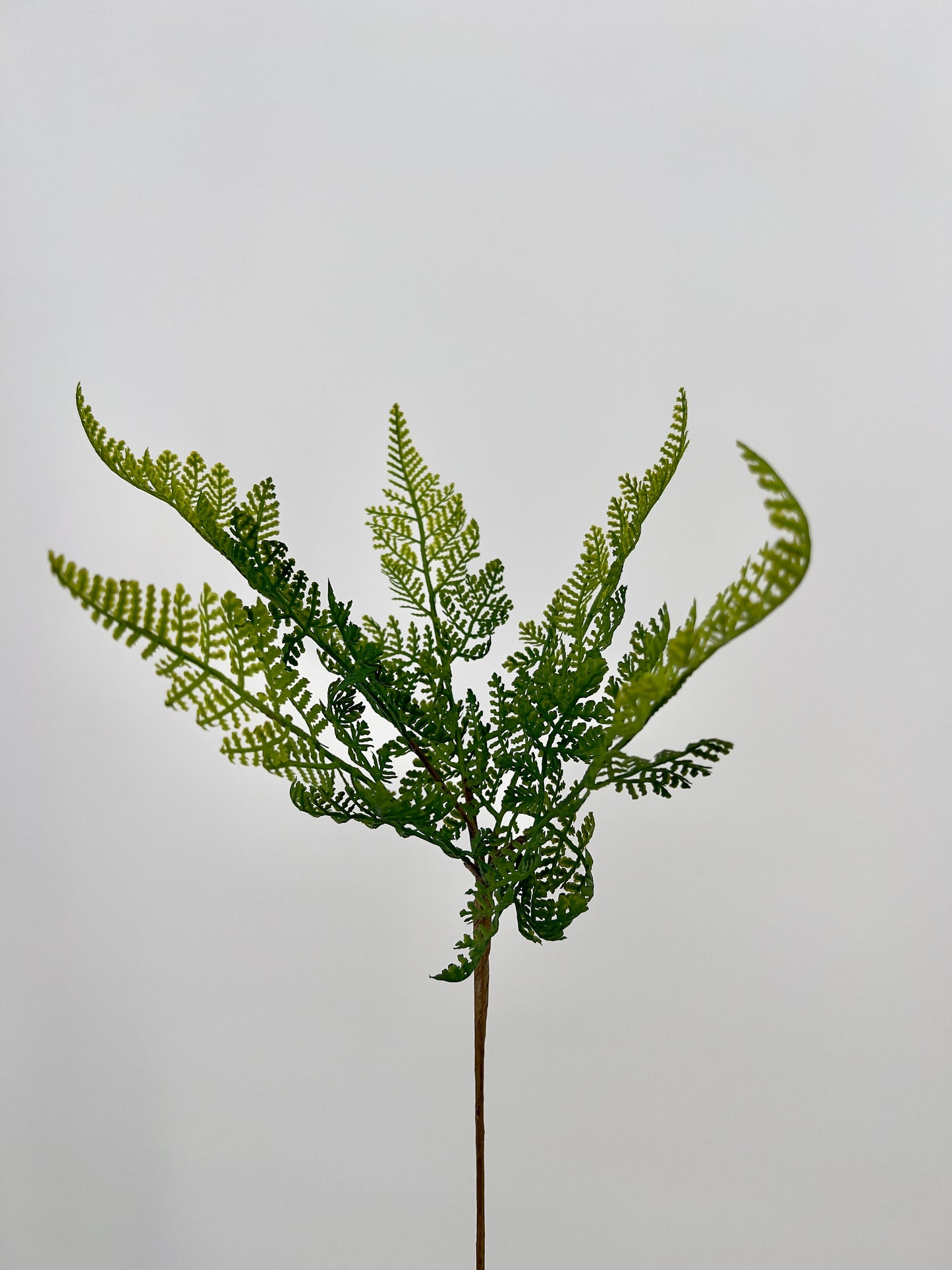 Athyrium ofwel wijfjesvaren kunststeek groen, 57cm