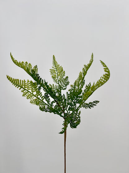 Athyrium ofwel wijfjesvaren kunststeek groen, 57cm