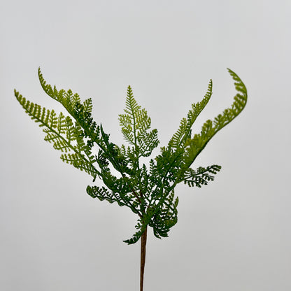 Athyrium ofwel wijfjesvaren kunststeek groen, 57cm