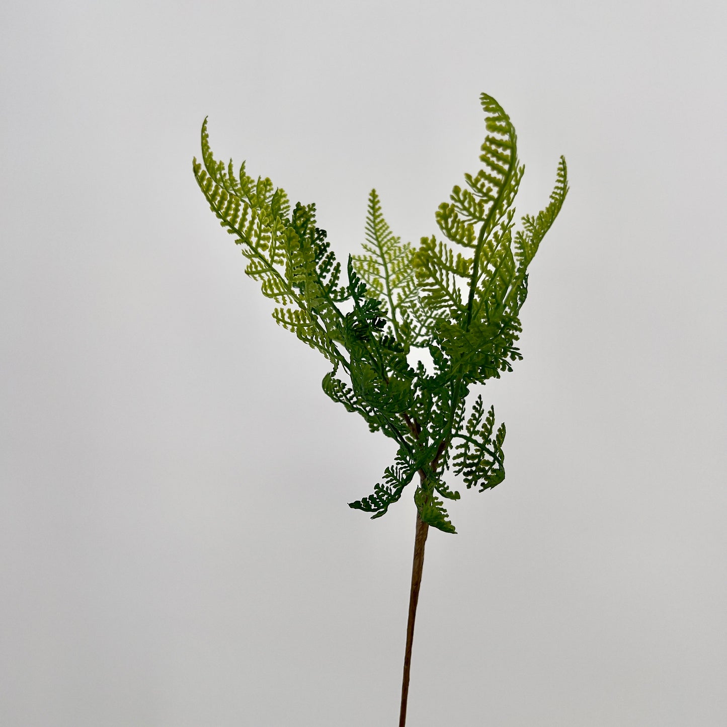 Athyrium ofwel wijfjesvaren kunststeek groen, 57cm