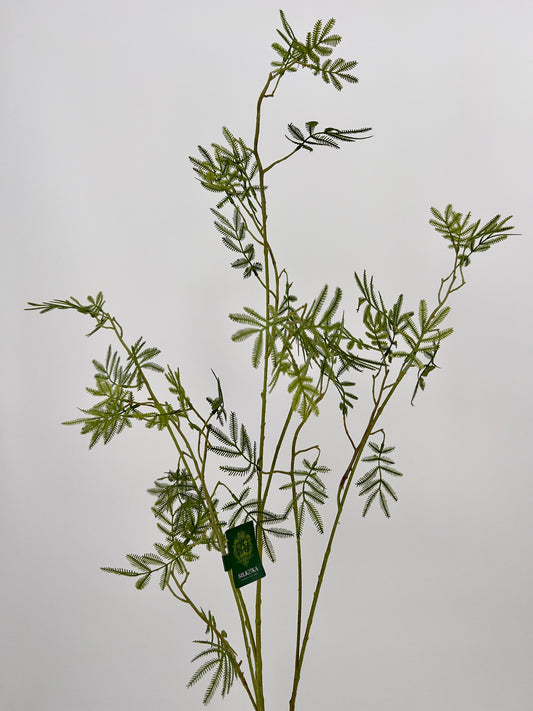 Silk-ka Mimosa groentak, 127cm