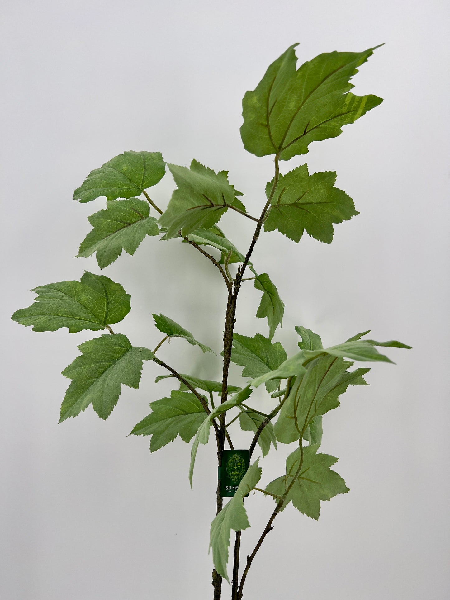Silk-Ka bladgroen tak waanzinnig echt!, 120cm