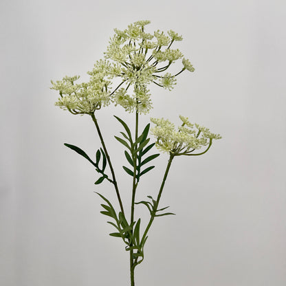 Dille spray in witte uitvoering, 80cm