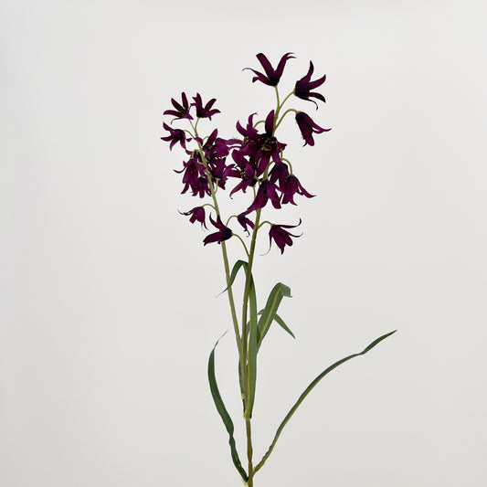 Flower campanula dark purple, 59cm