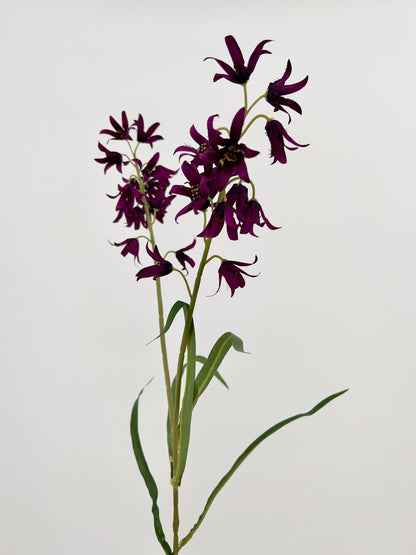 Flower campanula dark purple, 59cm