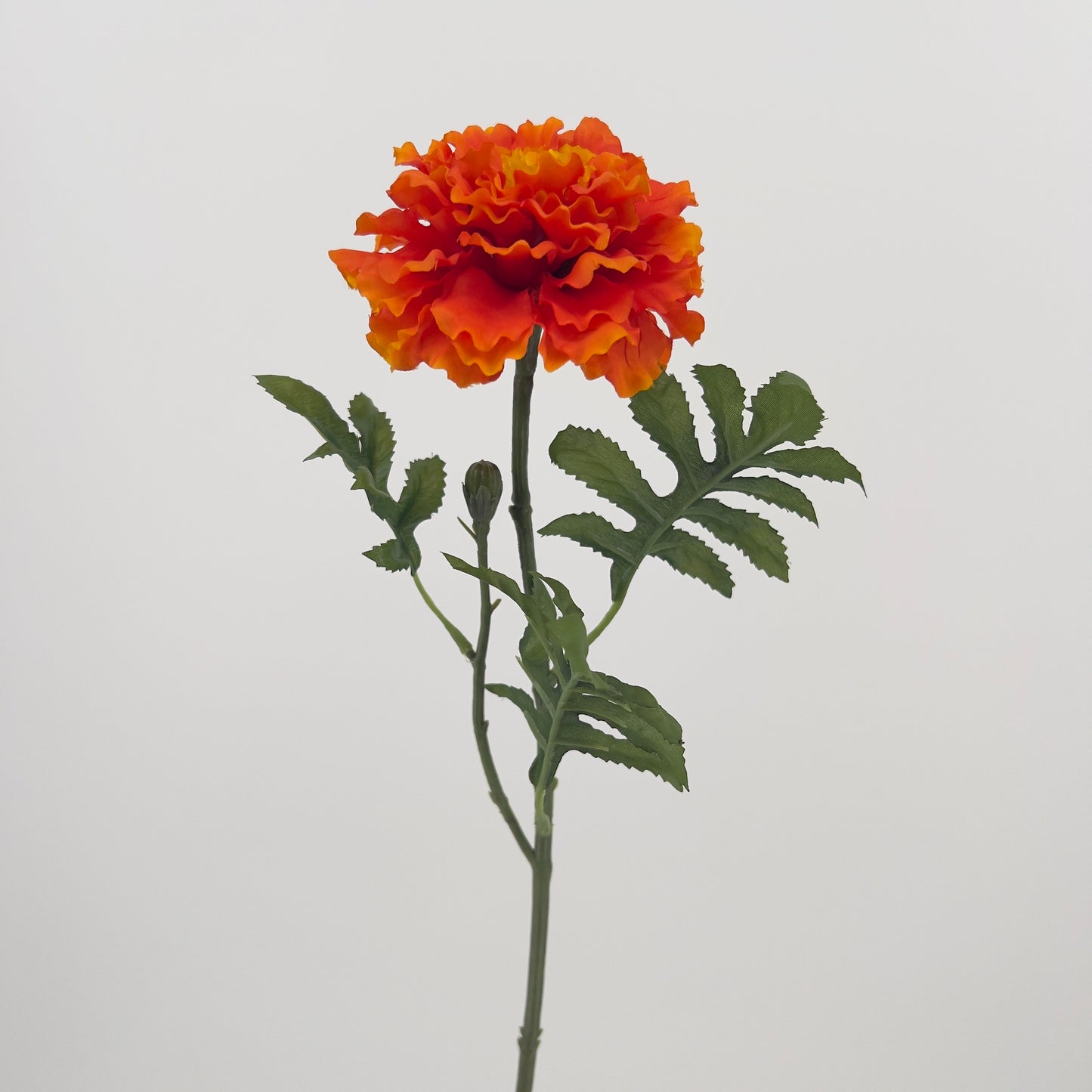 Marigold/Afrikaantje in geel/oranje of oranje, 52cm