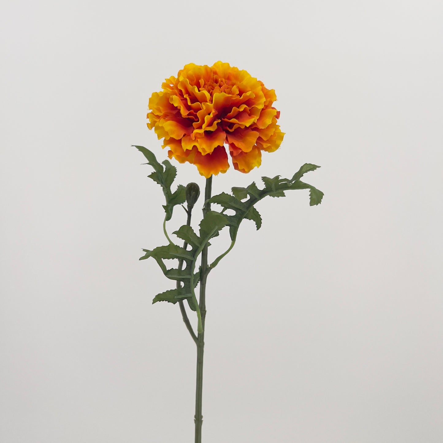Marigold/Afrikaantje in geel/oranje of oranje, 52cm