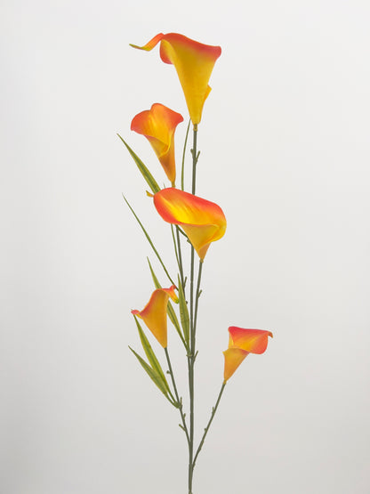 Calla spray met 5 bloemen in diverse kleuren, 85cm