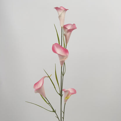Calla spray met 5 bloemen in diverse kleuren, 85cm