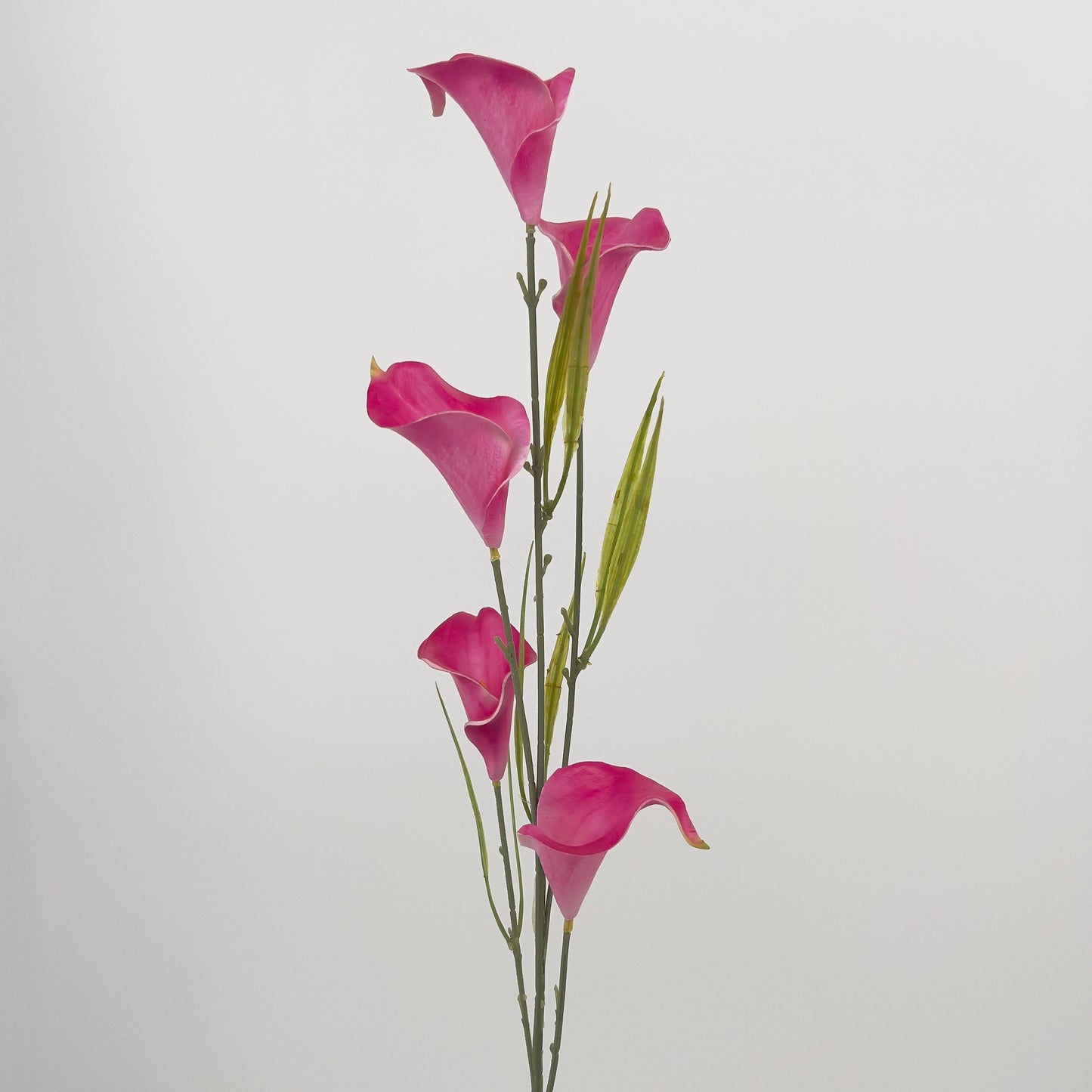 Calla spray met 5 bloemen in diverse kleuren, 85cm