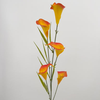 Calla spray met 5 bloemen in diverse kleuren, 85cm