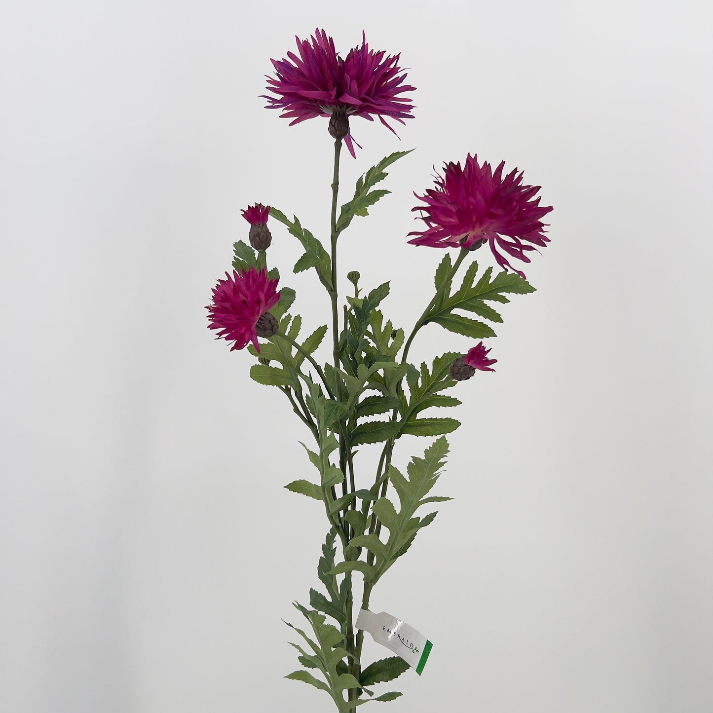 Centaurea spray in fuchsia en blauw/donker lila, 100cm