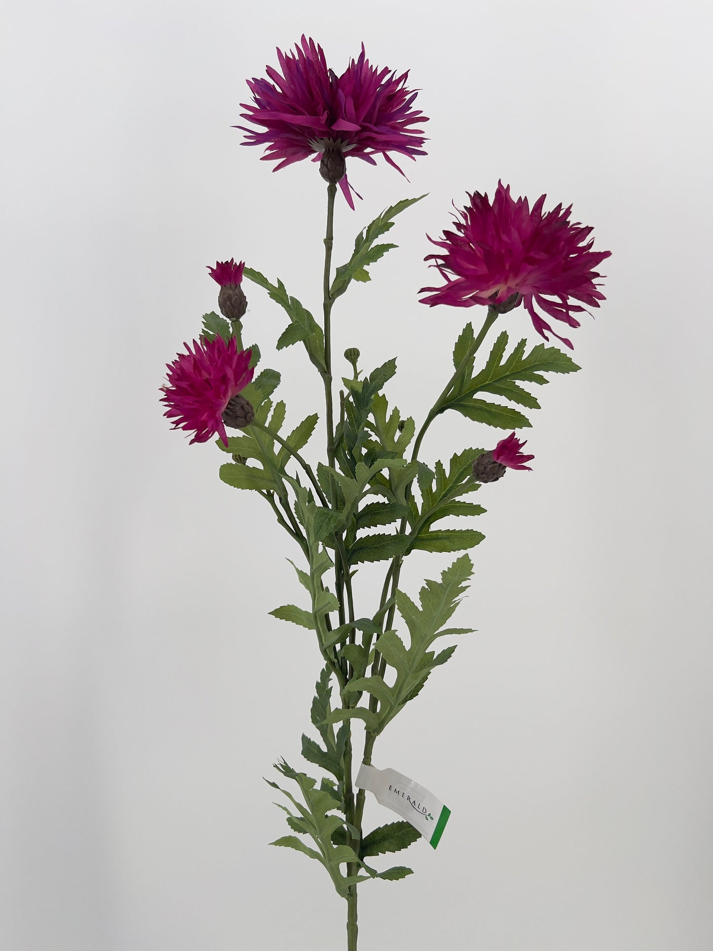 Centaurea spray in fuchsia en blauw/donker lila, 100cm