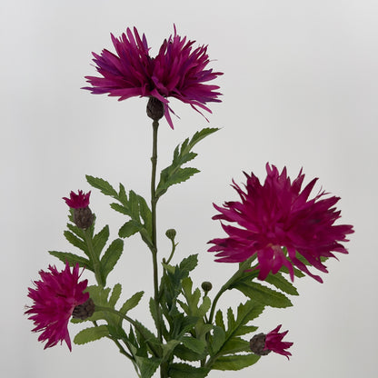 Centaurea spray in fuchsia en blauw/donker lila, 100cm