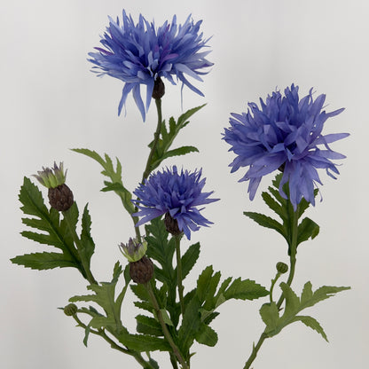 Centaurea spray in fuchsia en blauw/donker lila, 100cm