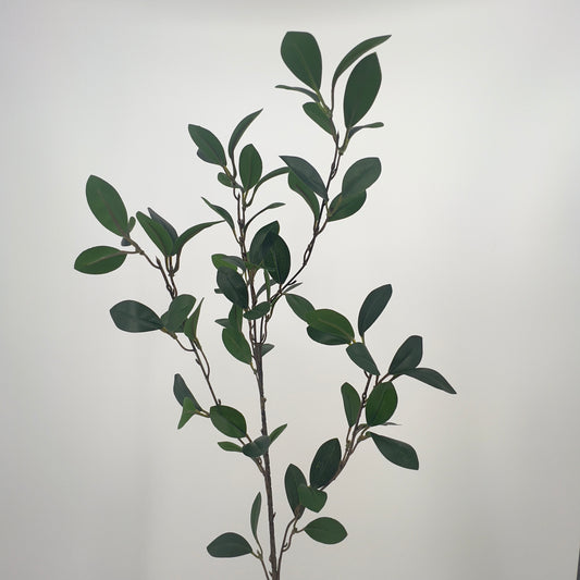 Ruscus bladgroen (mandarijnblad) spray/5, 90cm