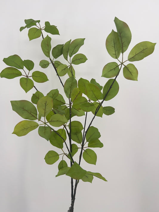 Slk-ka bladtak groen, 120cm