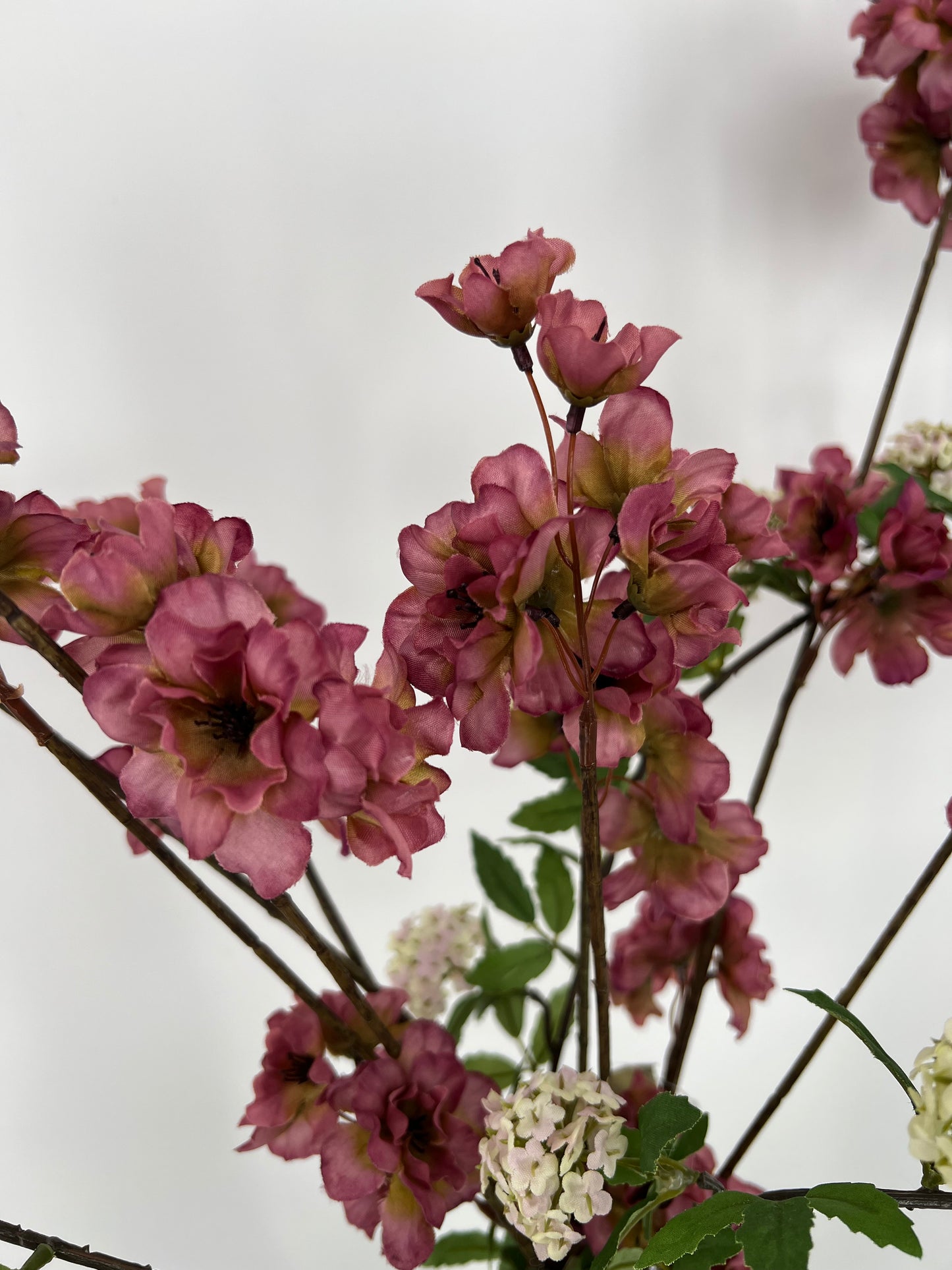 Prunus malaga spray vermilion mauve, 84cm