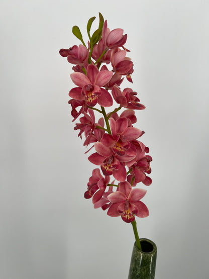 Orchidee  roze, 80cm