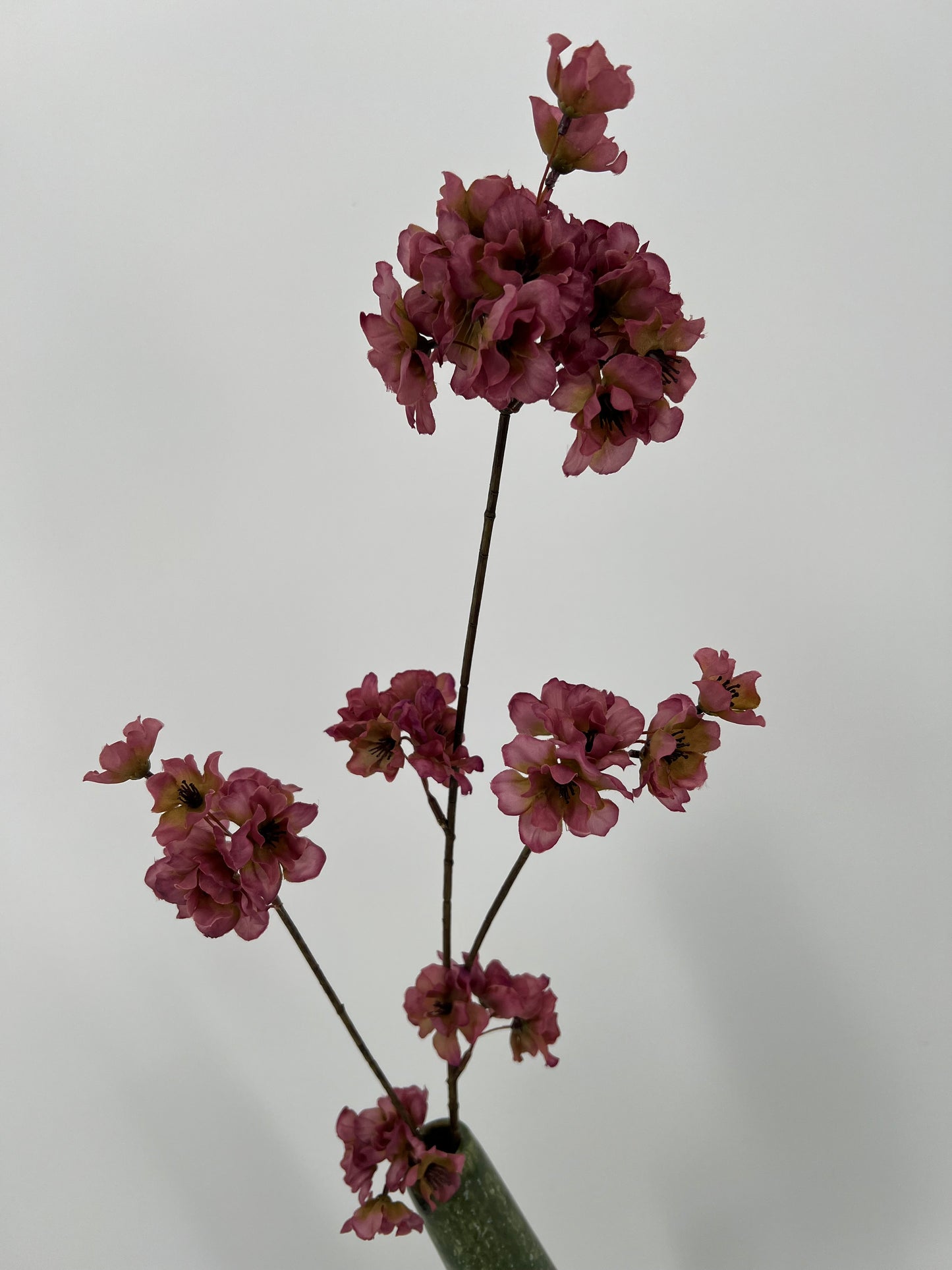 Prunus malaga spray vermilion mauve, 84cm