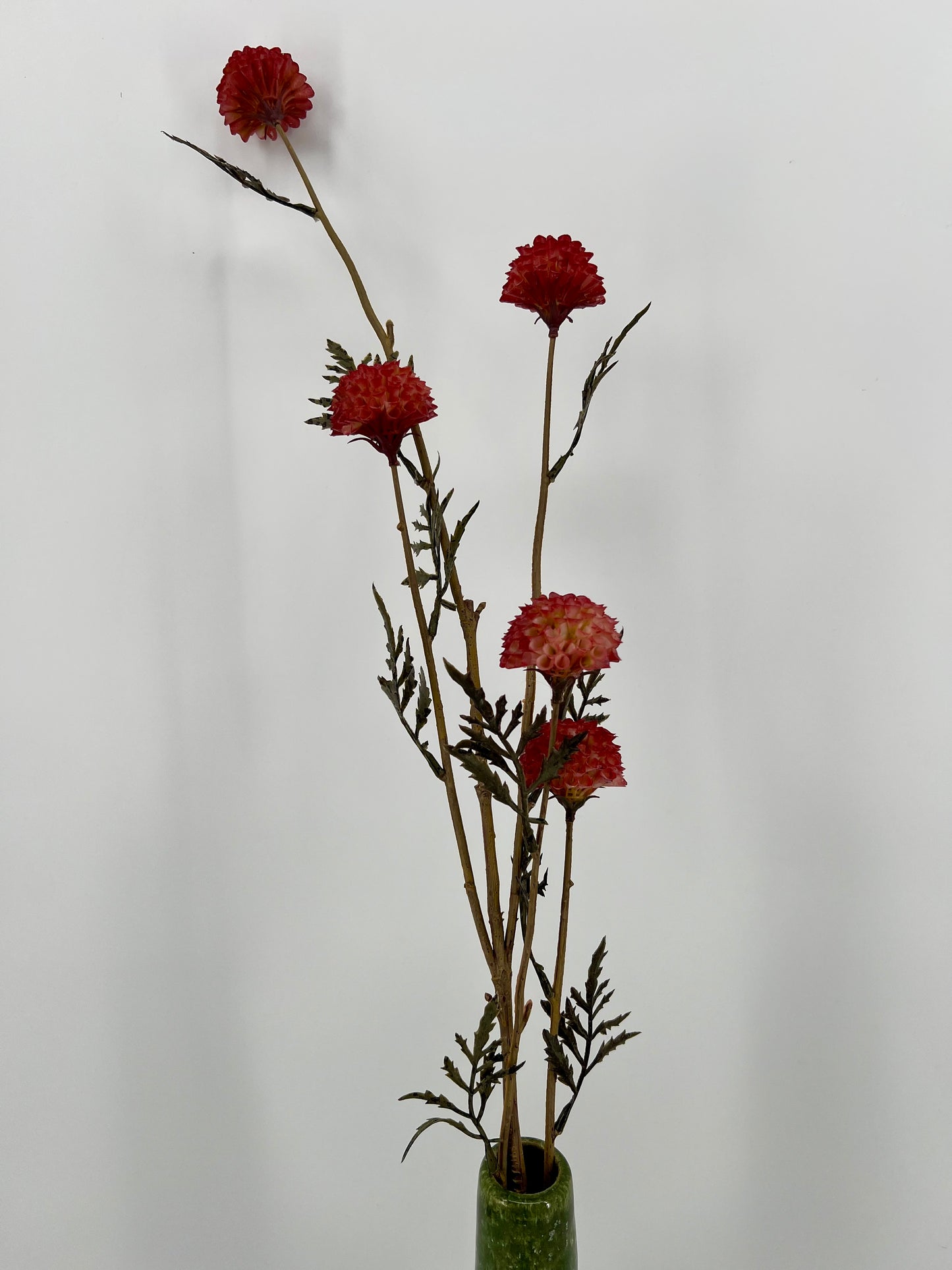 Goudsbloem tak Rosa, 85cm