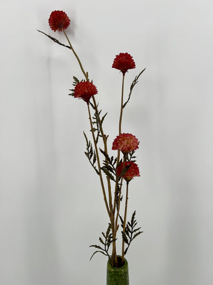 Goudsbloem tak Rosa, 85cm