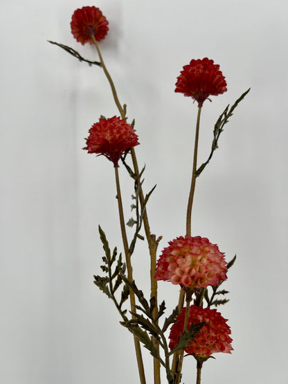 Goudsbloem tak Rosa, 85cm