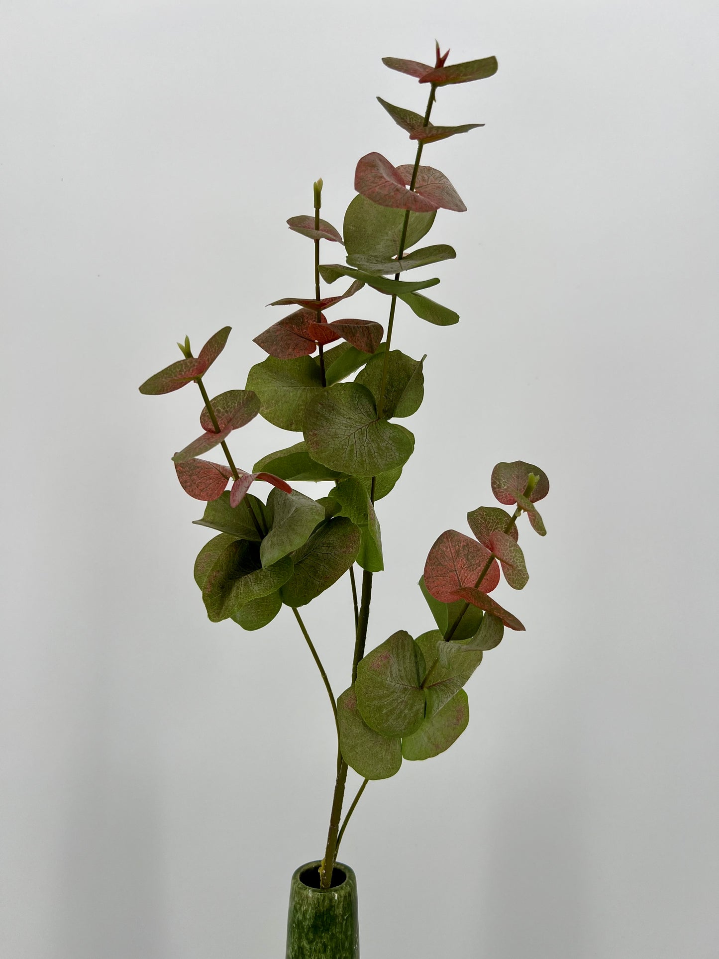 Flower Eucalyptus green/red, 84cm