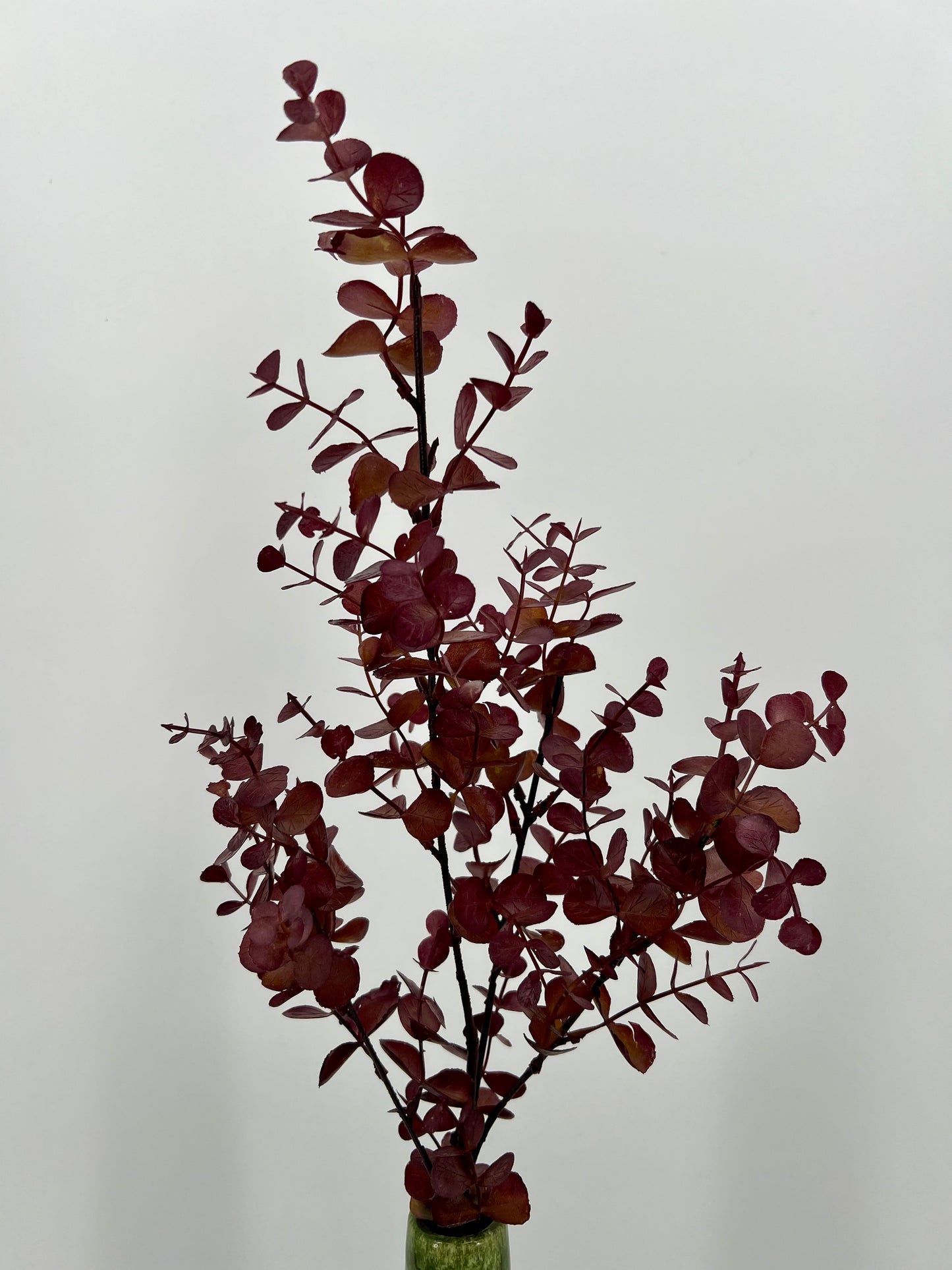 Eucalyptustak bordeauxrood, 80cm