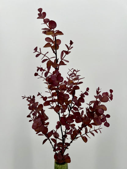 Eucalyptustak bordeauxrood, 80cm
