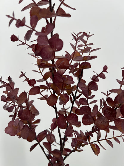 Eucalyptustak bordeauxrood, 80cm